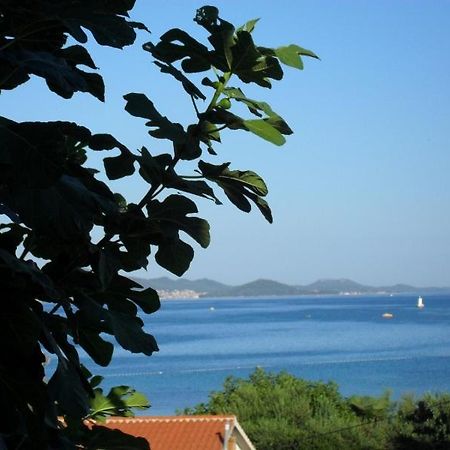 Studio Apartmani Krstina Sukošan Esterno foto